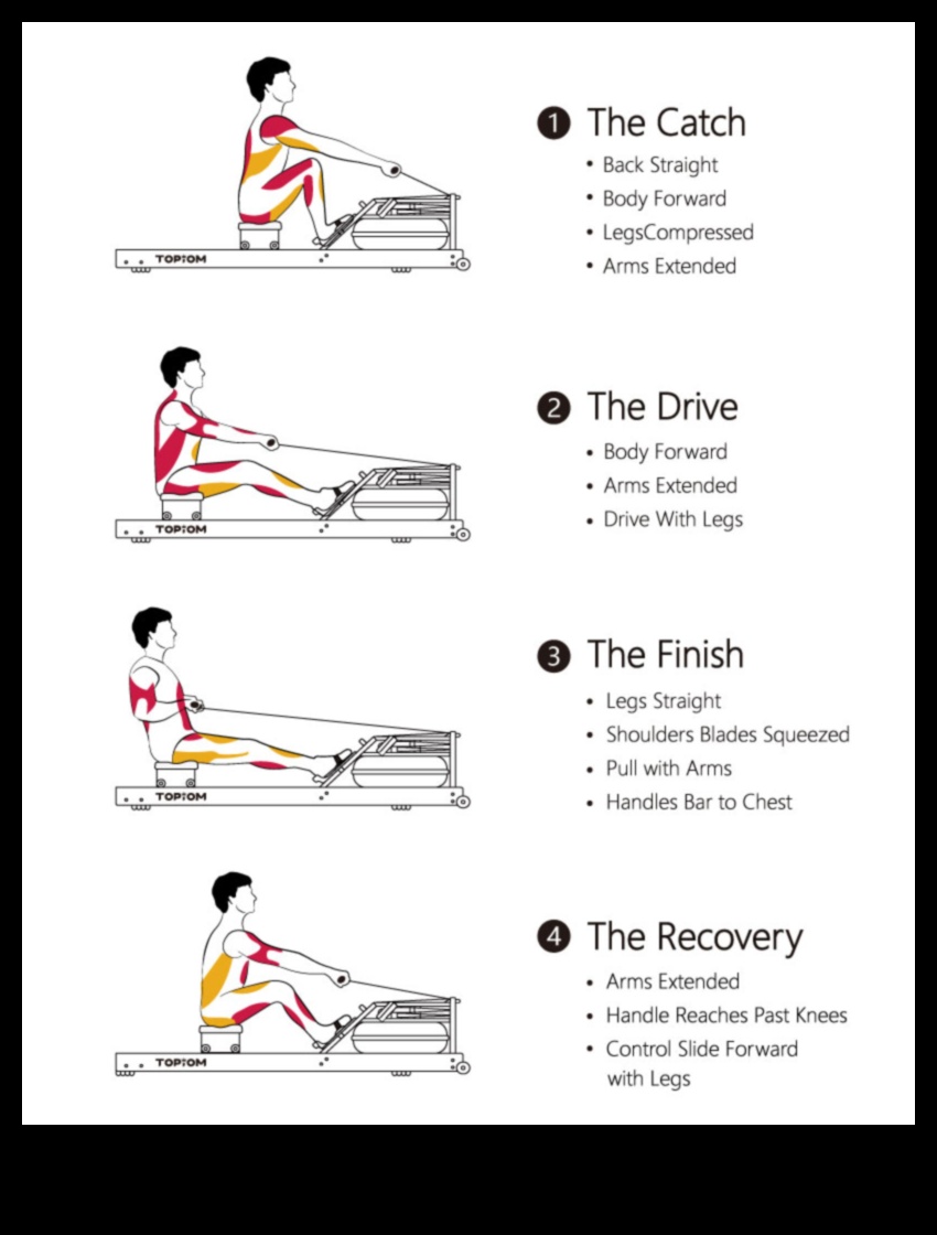 Row to Results: The Impact of Rowing on Weight Management