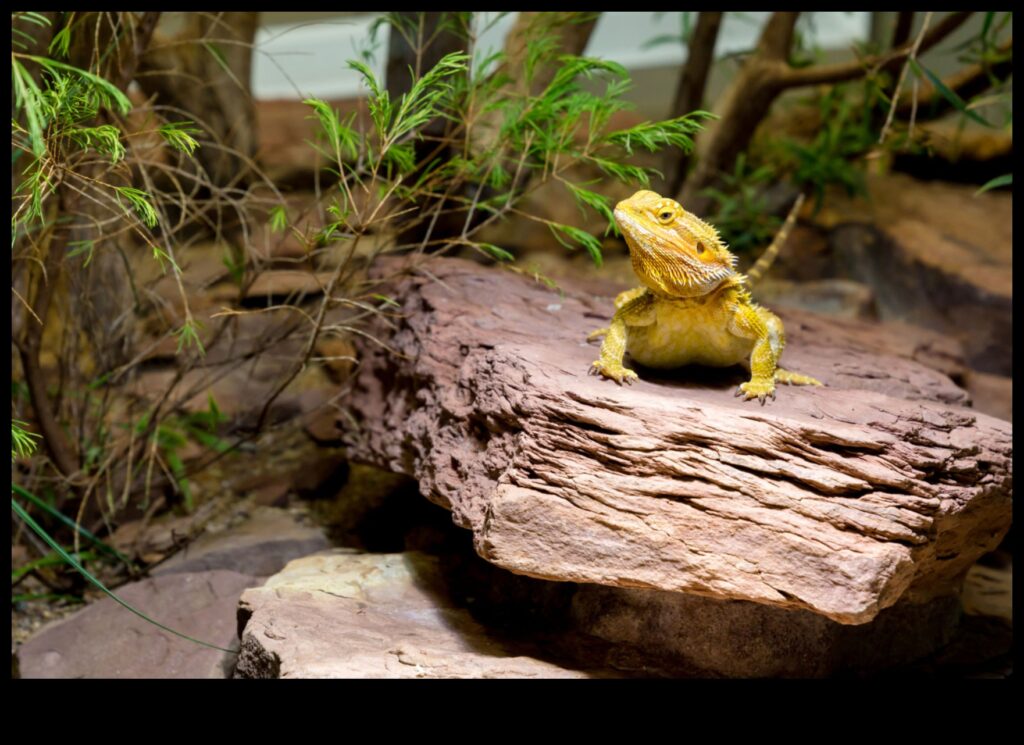 Scales and Tails Choosing the Right Substrate for Reptile Enclosures 1