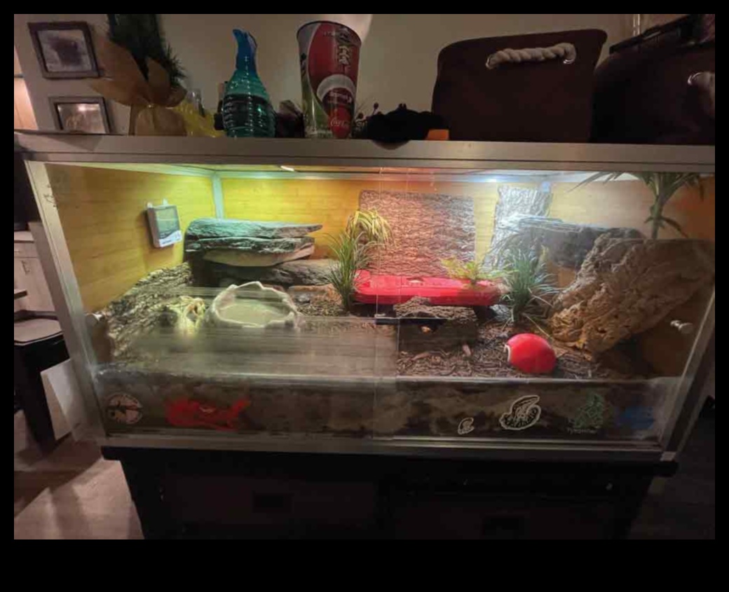 Scales and Tails: Choosing the Right Substrate for Reptile Enclosures