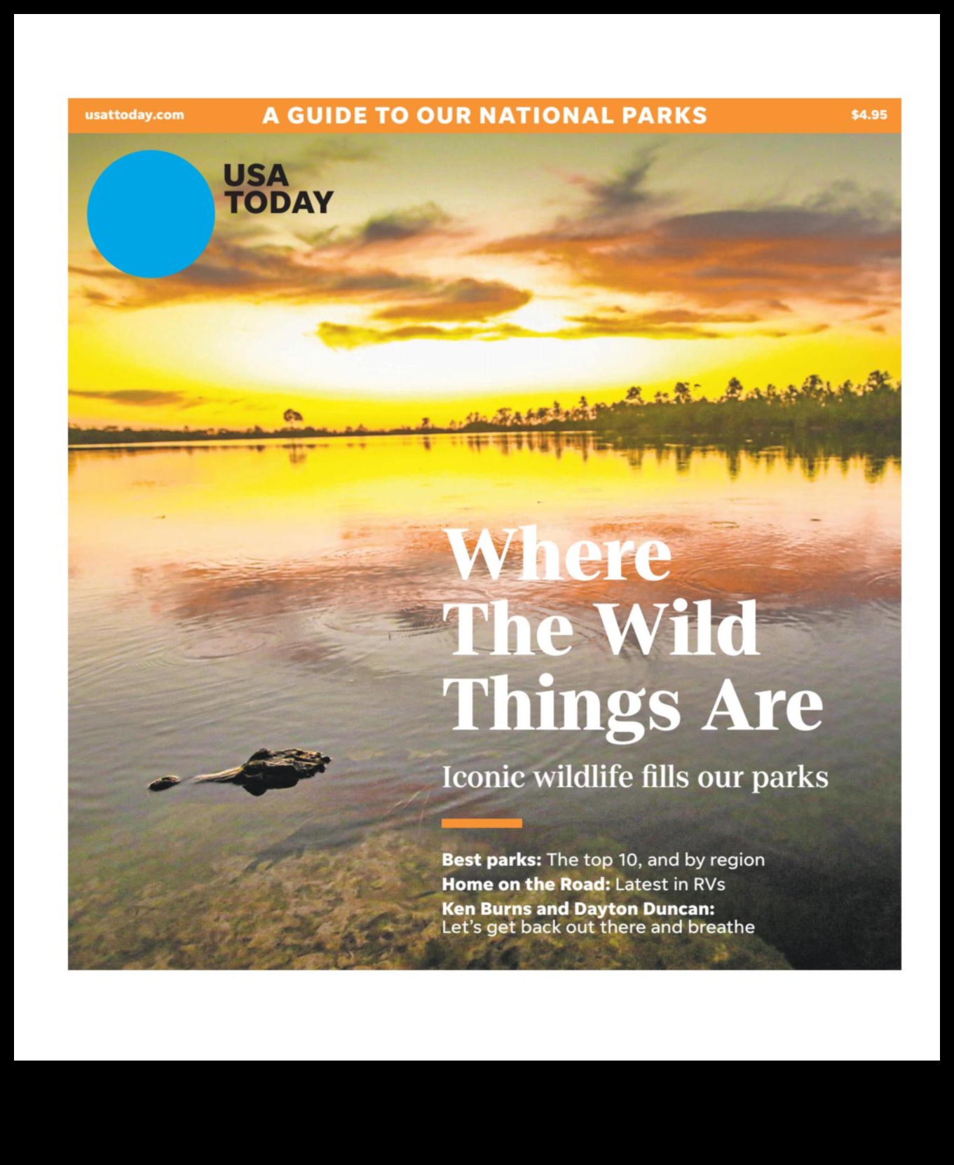 Scenic Surges: A Sightseer's Guide to Mesmerizing Views