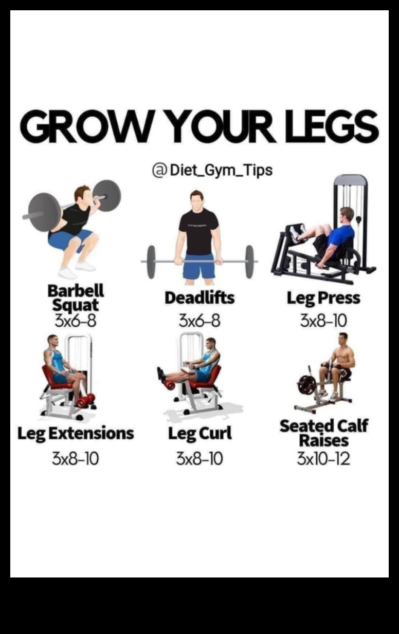 Sculpted Strides: Crafting a Visual Masterpiece with Leg Exercises