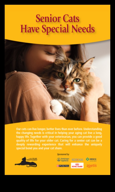 Senior Cat Spotlight: Caring for Aging Feline Friends