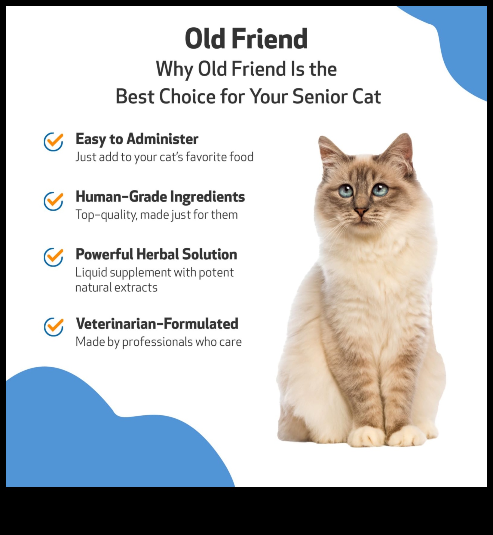 Senior Cat Spotlight: Caring for Aging Feline Friends