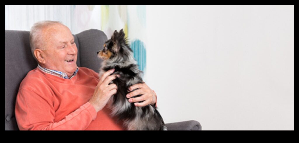 Senior Pup Spotlight Caring for Aging Canine Companions 1