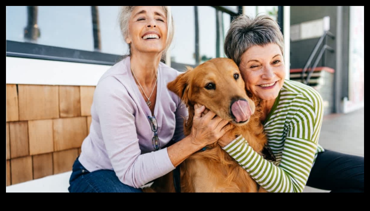 Senior Pup Spotlight: Caring for Aging Canine Companions