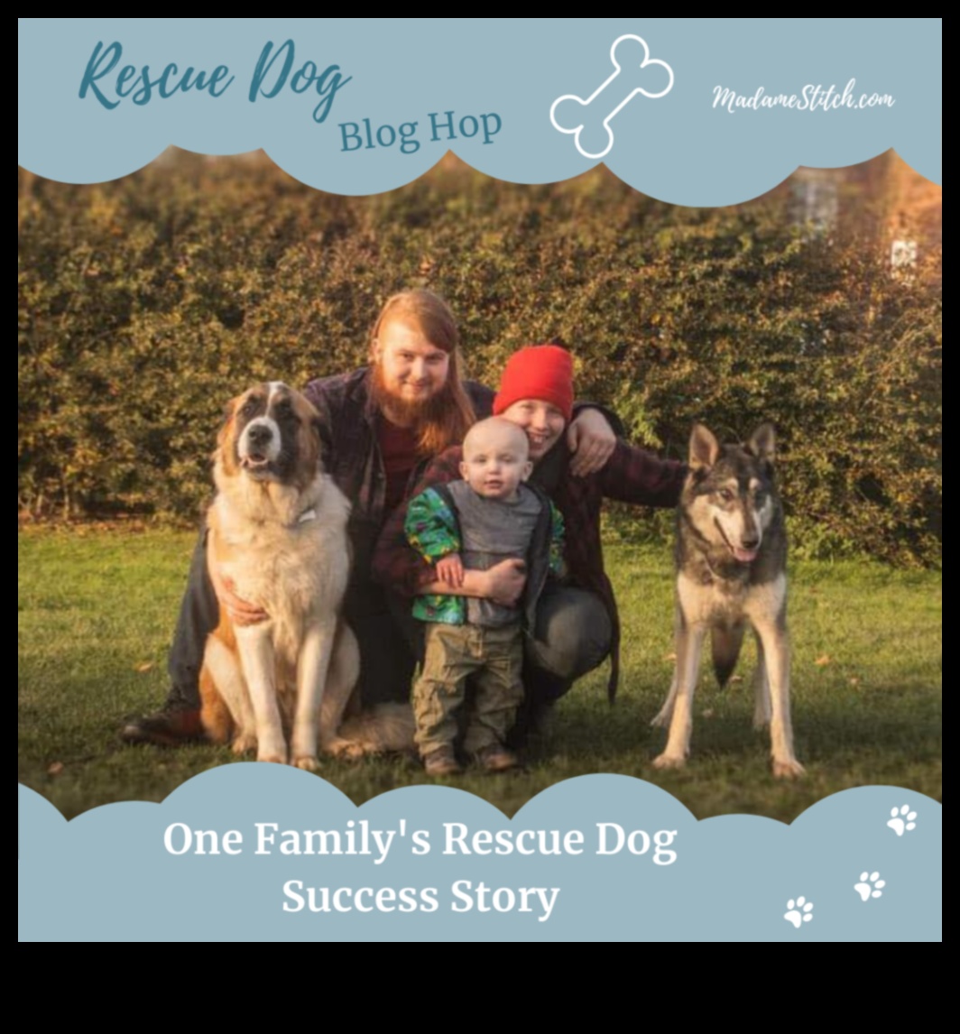 Shelter Stars: Adopting a Rescue Dog Success Stories