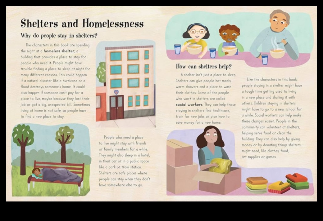 Shelter Stories: Chronicles from Comfortable Stays