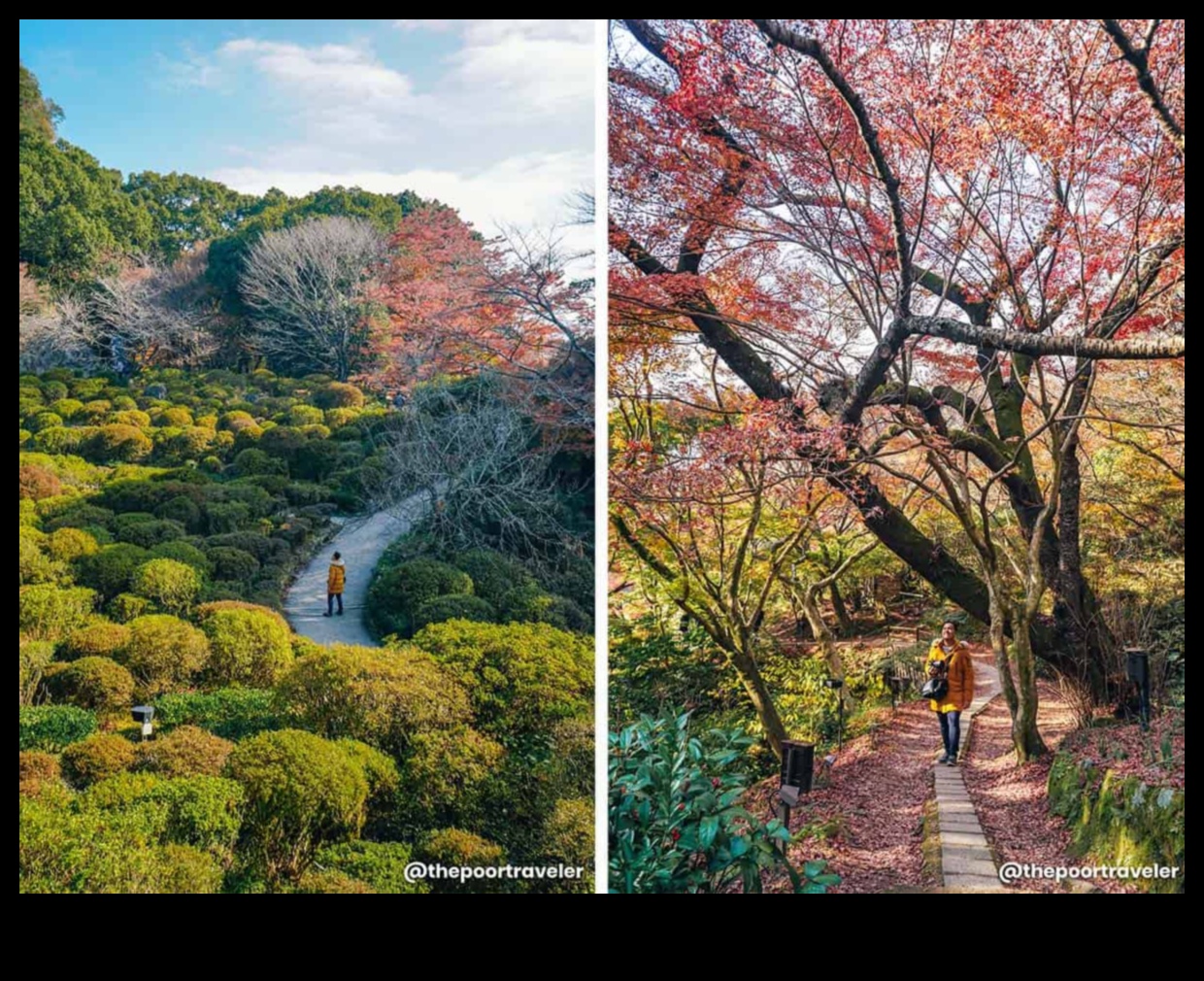 Sightseeing Saga: A Narrative of Breathtaking Vistas