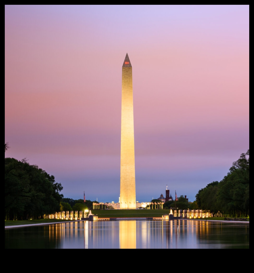 Sightseeing Spotlight: Illuminating the Finest Views