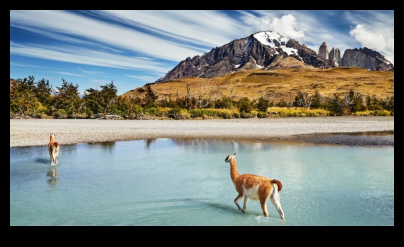 Sightseer's Sanctuary Find Bliss in Picturesque Views 1