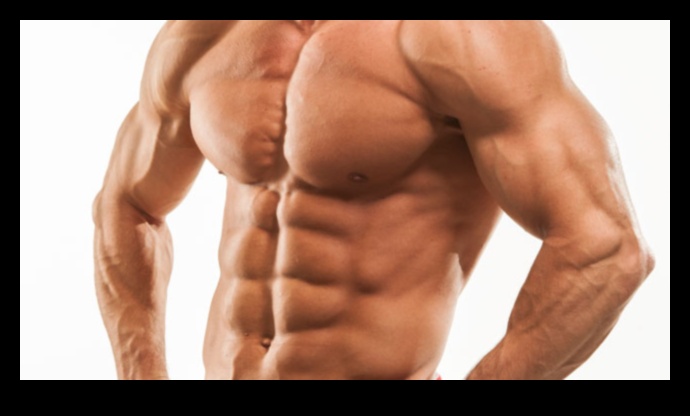 Six-Pack Quest Your Guide to Getting Abs of Steel 4 Six-Pack Quest: Journeying through Ab Exercises for Abs of Steel