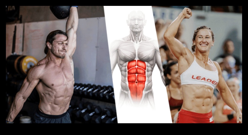 Six-Pack Saga: Embarking on a Journey of Ab Exercises