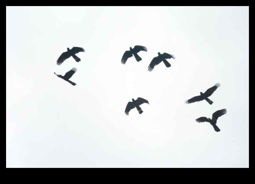 Sky Dancers: The Elegance of Birds in Flight Displays