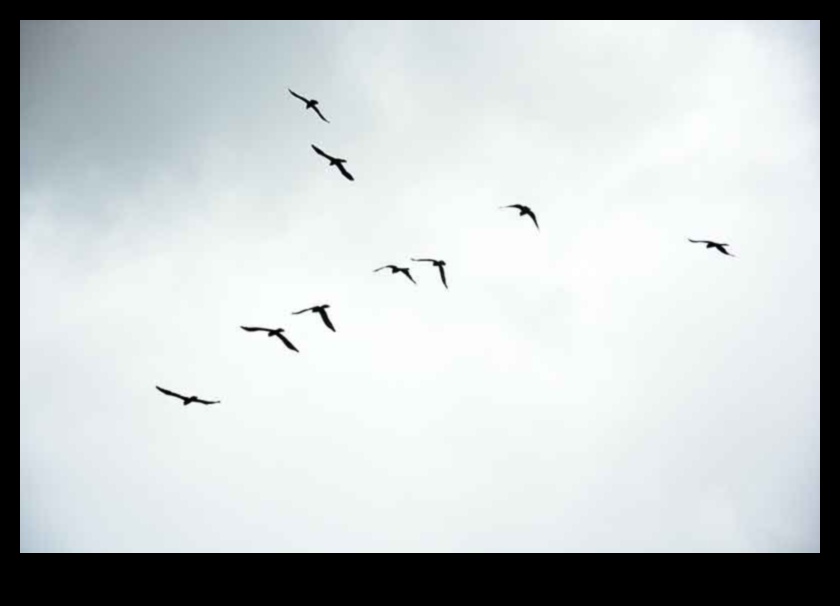 Sky Dancers: The Elegance of Birds in Flight Displays