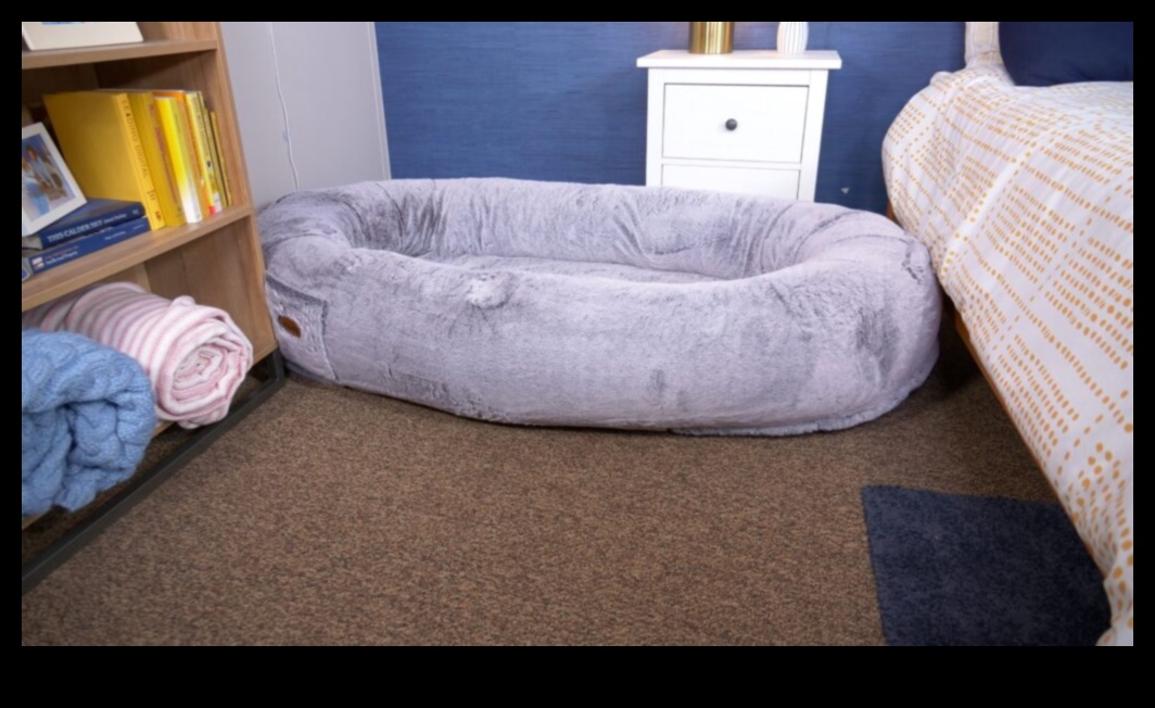 Sleepytime Strategies: Creating a Cozy Bed for Your Pet