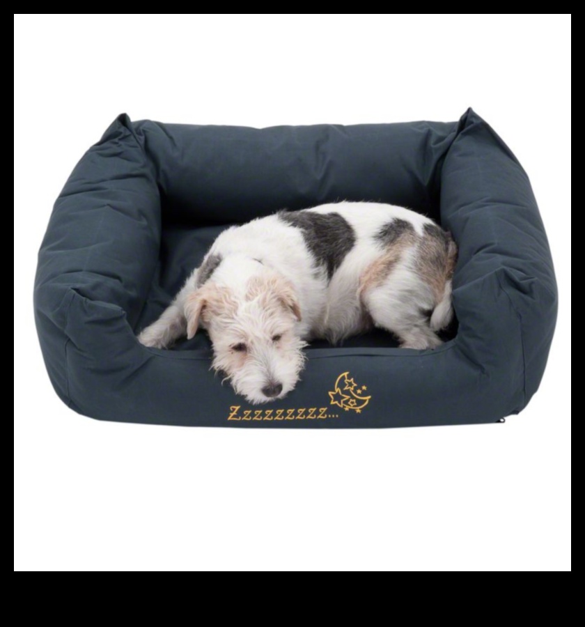 Sleepytime Strategies: Creating a Cozy Bed for Your Pet