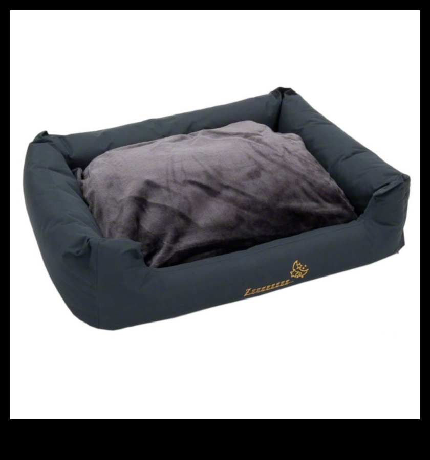 Sleepytime Strategies: Creating a Cozy Bed for Your Pet