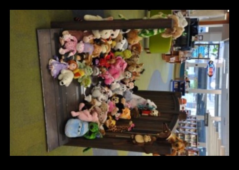 Small Animal Sleepover: Creating a Cozy Nighttime Setup