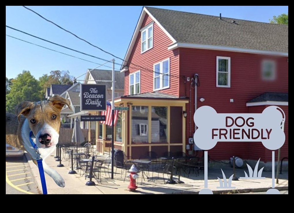 Snout and About: Exploring Dog-Friendly Cafes and Restaurants