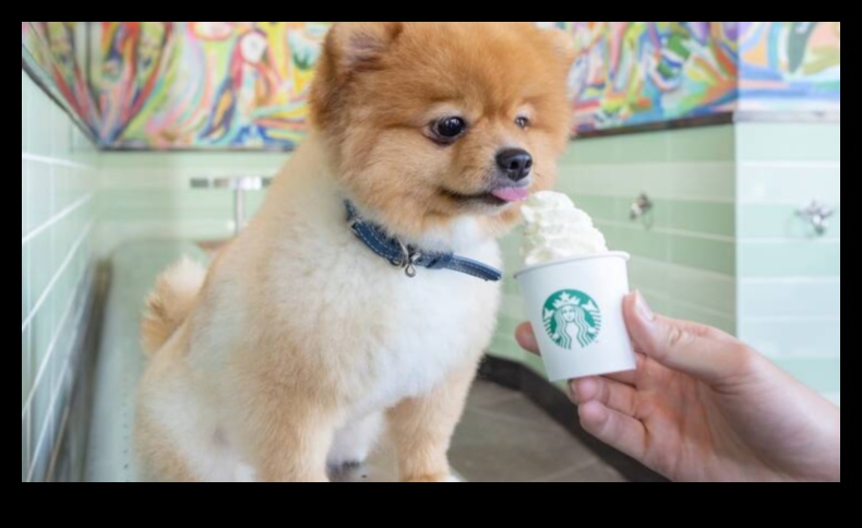 Snout and About: Exploring Dog-Friendly Cafes and Restaurants