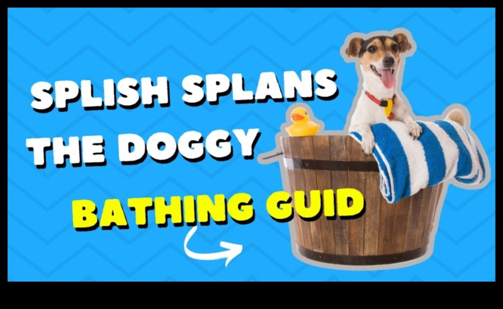 Splish Splash Bathing Tips for Dogs and Cats 1