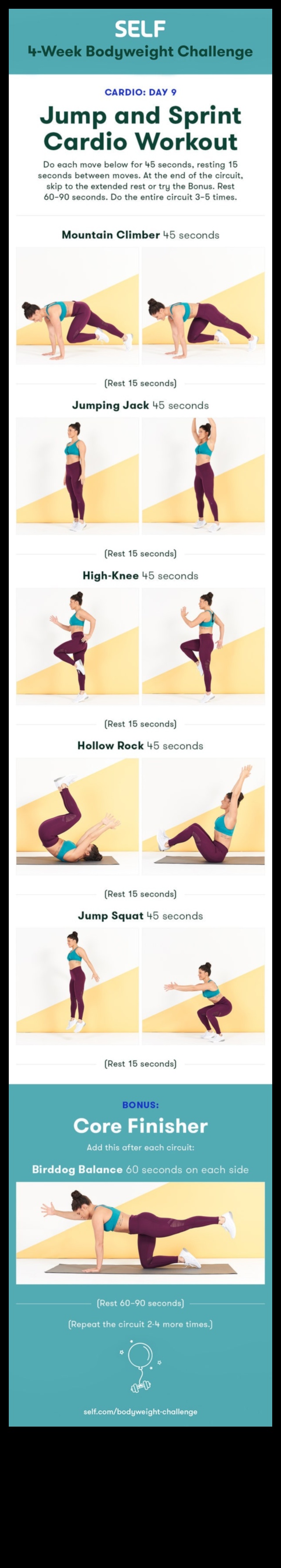 Sprint to Health Get Moving with Cardiovascular Exercises 1 Sprint to Health: Cardiovascular Exercises for a Vibrant Lifestyle