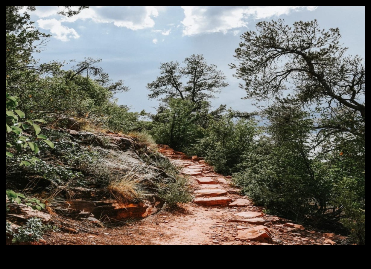 Step Into Nature 5 Outdoor Workouts to Reconnect with the Earth 3 Step Into Nature: Outdoor Workouts to Reconnect with the Earth