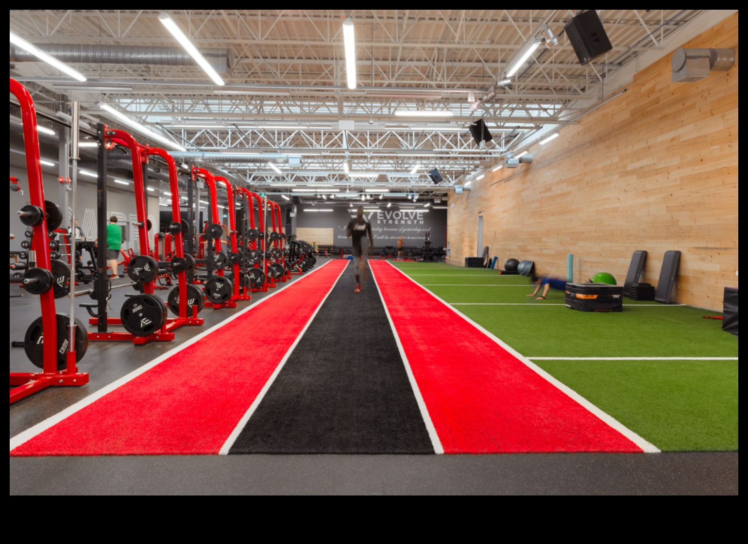 Strength Spectrum A One-Stop Shop for All Your Fitness Needs 5 Strength Spectrum: Diverse Exercise Equipment for Varied Training Needs