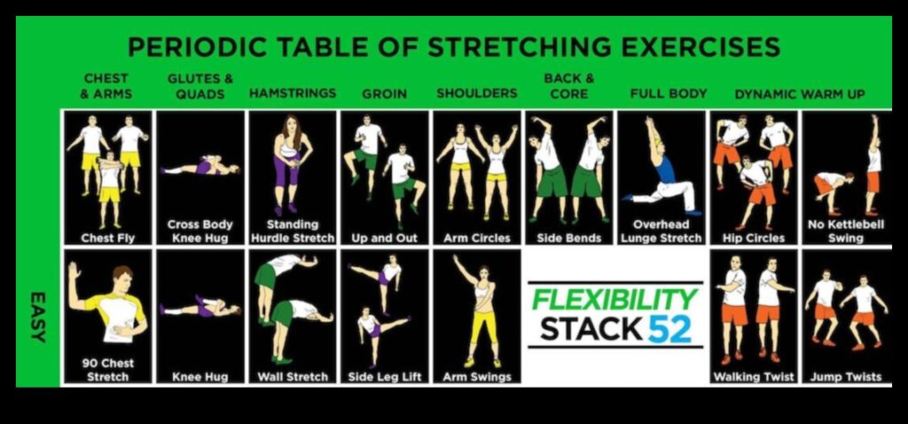 Stretch & Thrive 50 Essential Flexibility Exercises for a Life of Dynamic Living 1