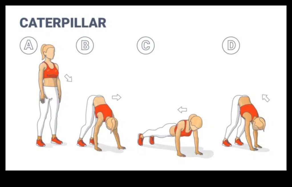 Stretch and Strengthen A Dynamic Approach to Fitness 1