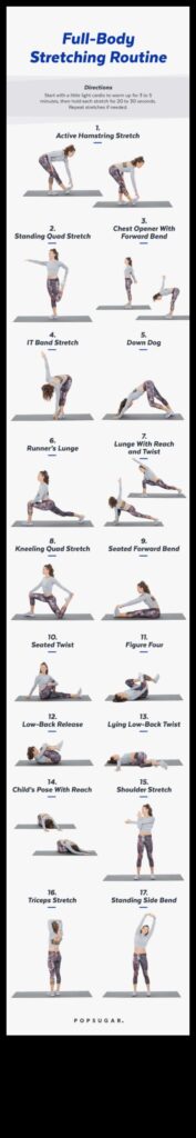 Stretching Essentials A Blueprint for Daily Flexibility (and a Few Fun Stretches to Try) 1