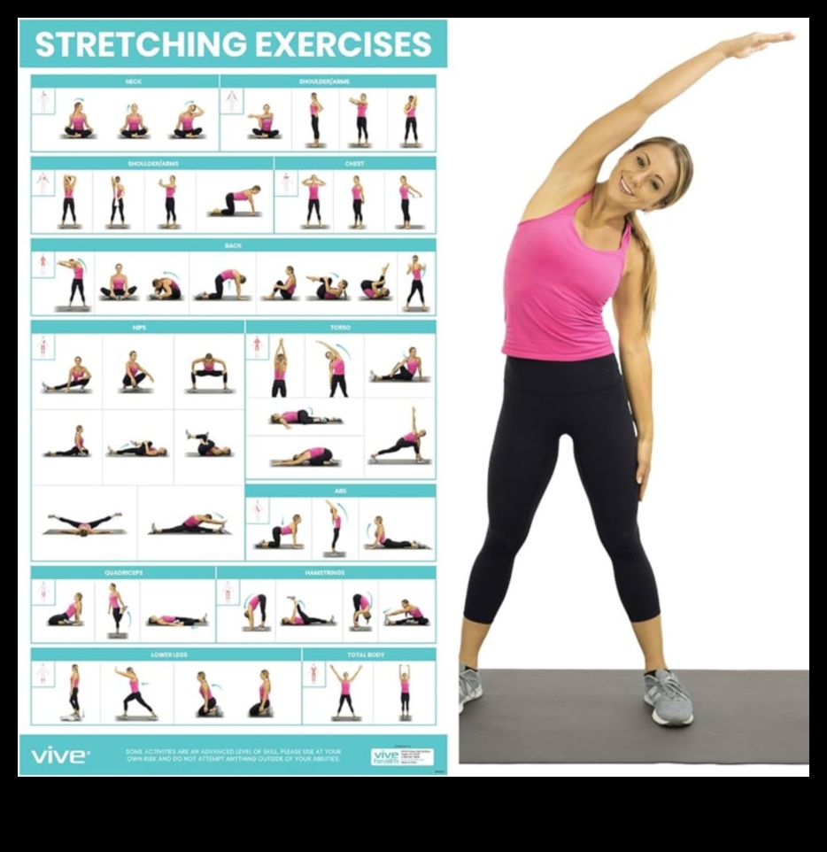 Stretching Essentials A Guide to Daily Flexibility 2 Stretching Essentials: Crafting a Blueprint for Daily Flexibility