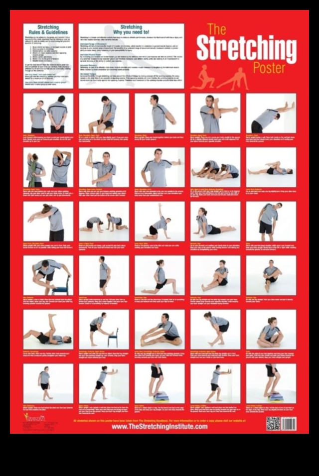 Stretching Essentials A Guide to Daily Flexibility 3 Stretching Essentials: Crafting a Blueprint for Daily Flexibility