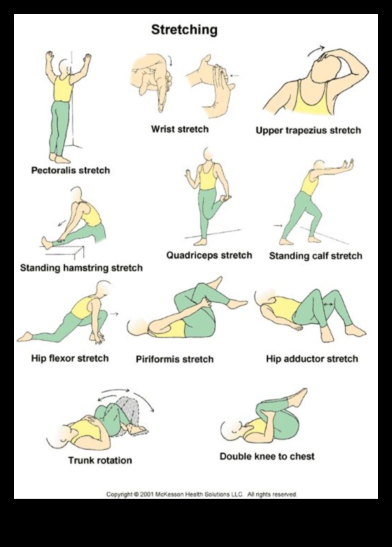 Stretching Essentials A Guide to Daily Flexibility 5 Stretching Essentials: Crafting a Blueprint for Daily Flexibility