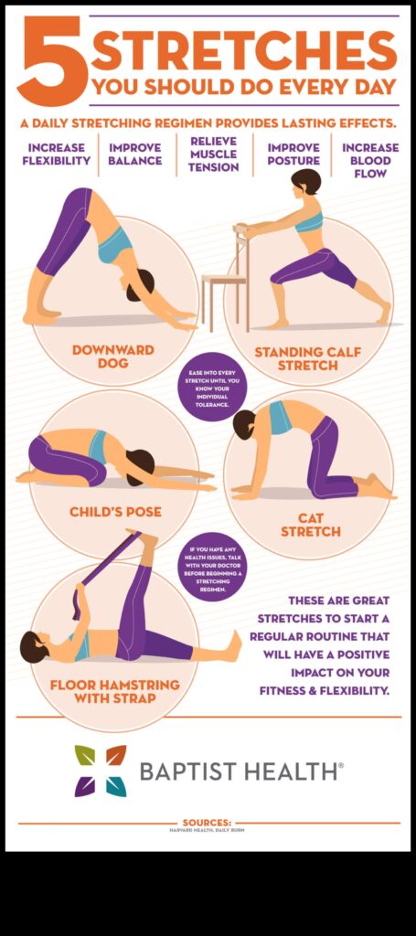 Stretching Essentials A Guide to Flexibility for All Levels 1