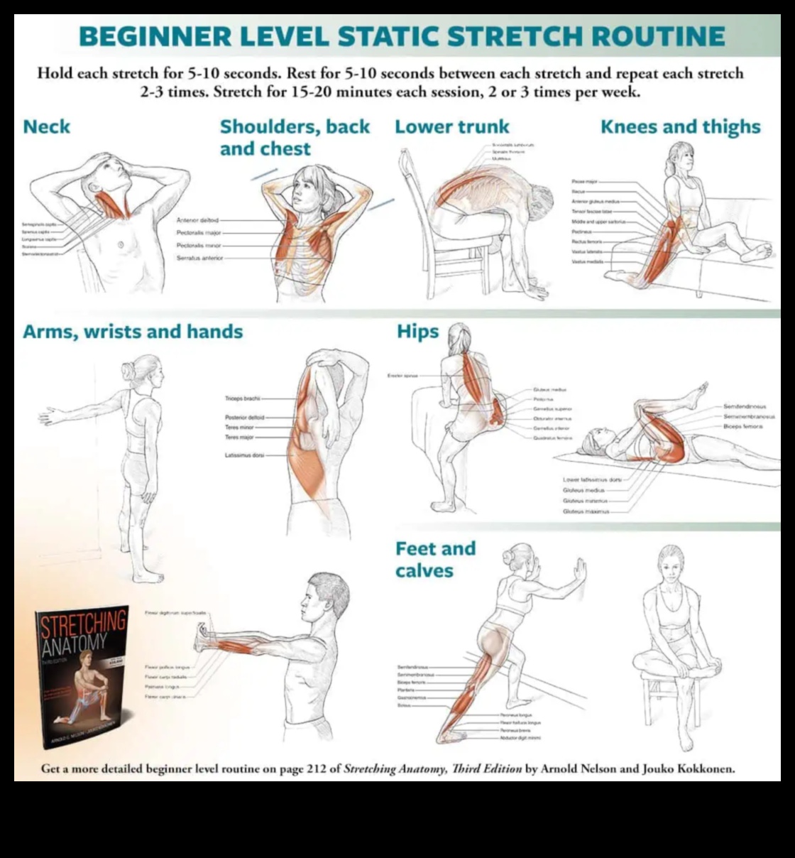 Stretching Mastery A Guide to Creating Your Own Personal Flexibility Routine 2 Stretching Mastery: Crafting Your Personal Flexibility Routine