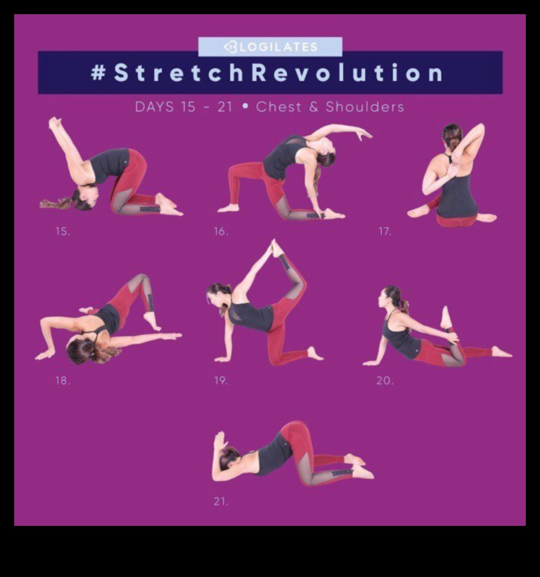 Stretching Revolution: Redefining Fitness through Flexibility