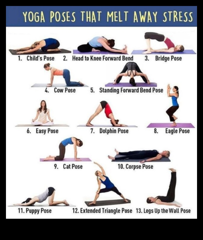 Stretching Serenity: Flexibility Exercises for a Calm Mind and Body