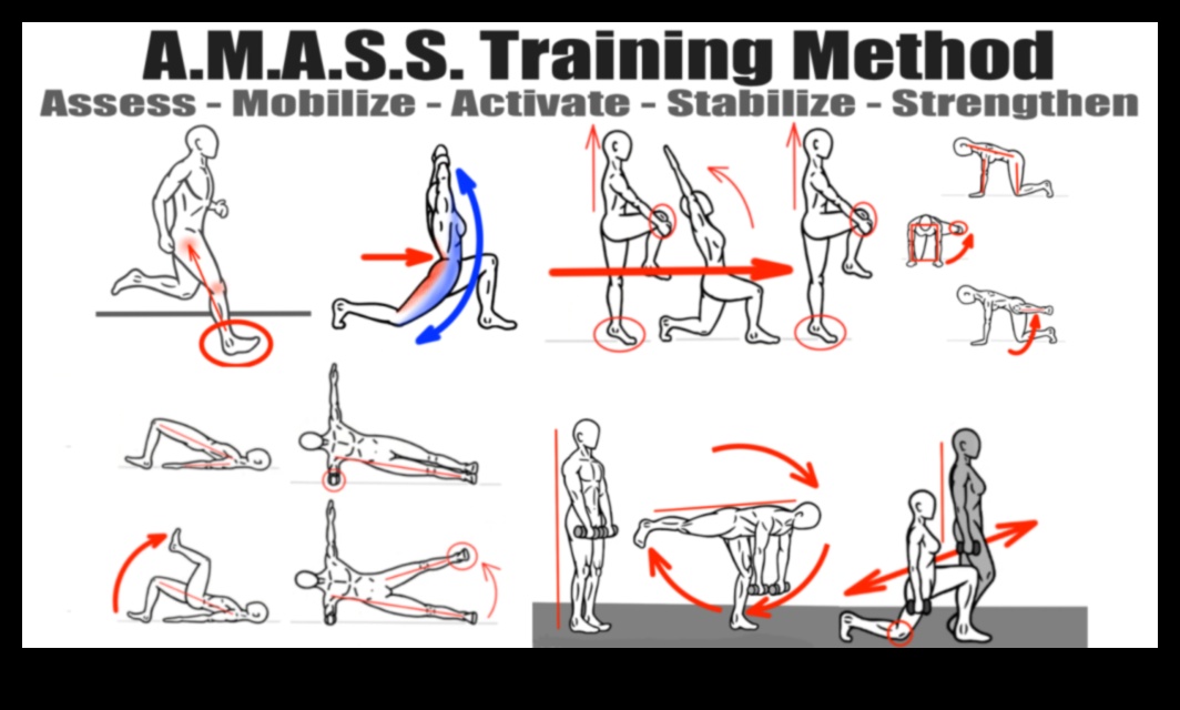 Stretching Synergy How to Improve Flexibility and Achieve Peak Physical Performance 1 Stretching Synergy: Integrating Flexibility for Peak Physical Performance