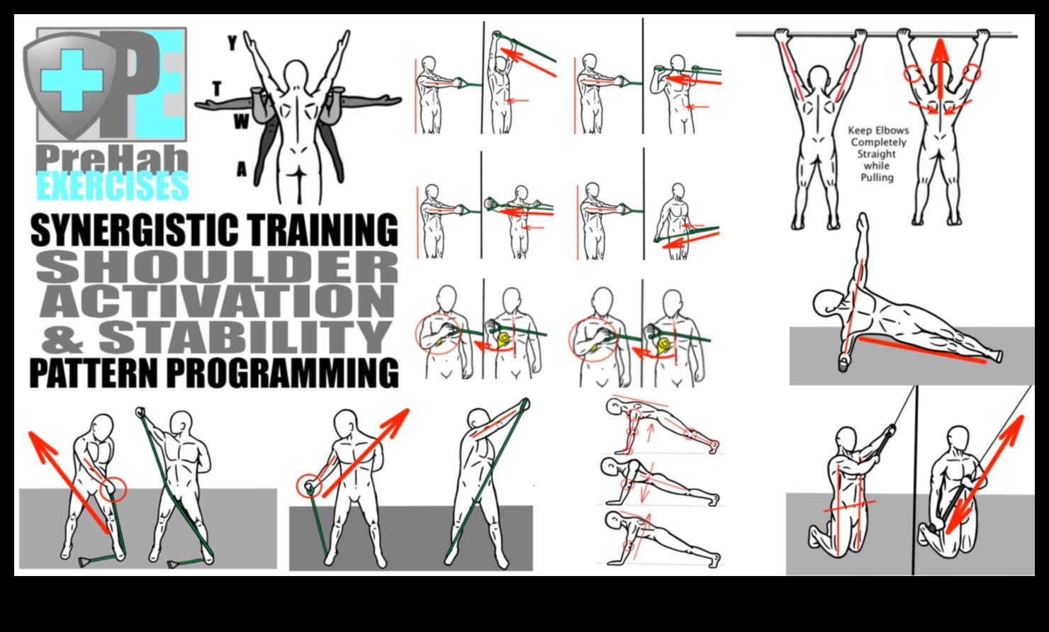 Stretching Synergy How to Integrate Flexibility for Peak Performance 2 Stretching Synergy: Integrating Flexibility for Peak Performance