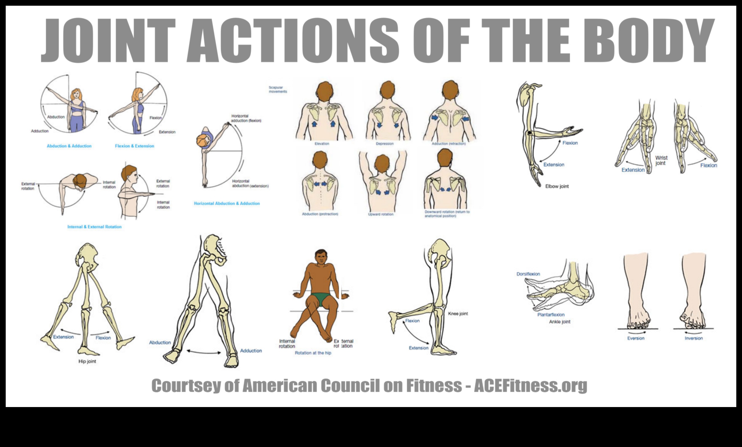 Stretching Synergy How to Integrate Flexibility for Peak Performance 3 Stretching Synergy: Integrating Flexibility for Peak Performance