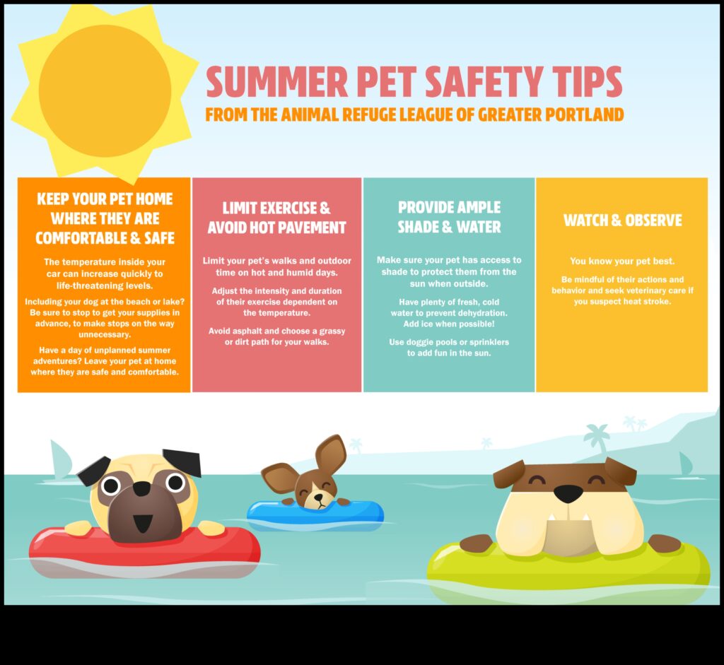 Summer Safety Tips Protecting Your Pet from the Heat 1