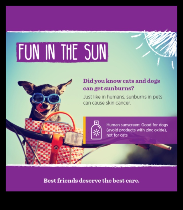 Sun Safety for Pets Protecting Your Furry Friends from Harmful UV Rays 1