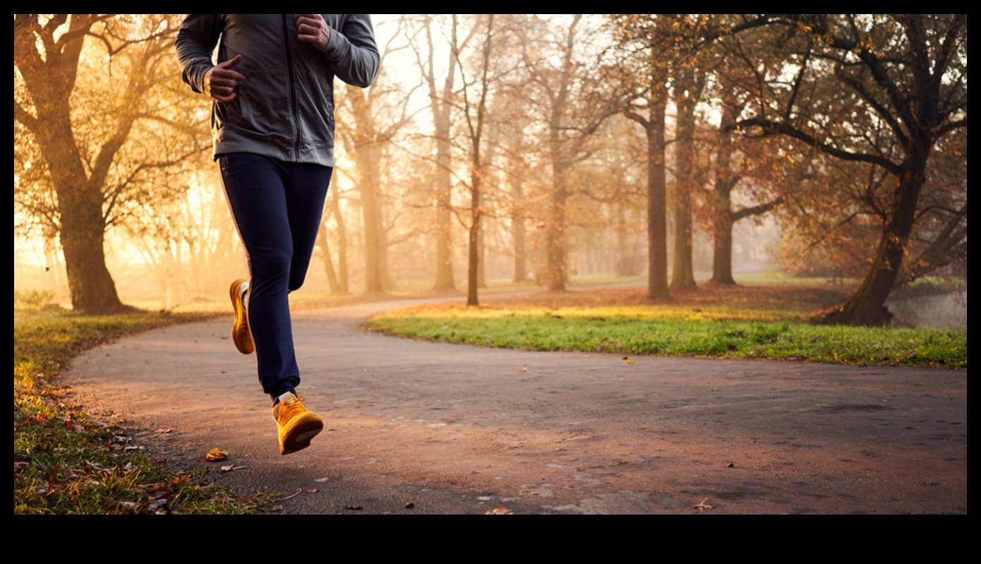 Sunrise Strength 5 Morning Outdoor Workouts to Kickstart Your Day 3 Sunrise Strength: Morning Outdoor Workouts to Kickstart Your Day