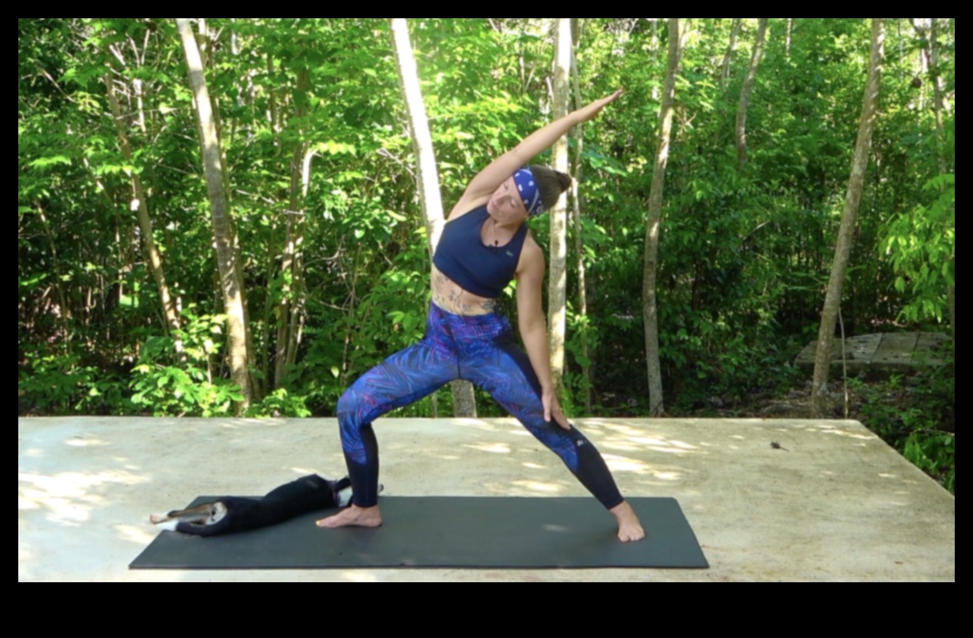 Supple Strength The Key to Holistic Physical Fitness 4 Supple Strength: Integrating Flexibility for Holistic Physical Fitness