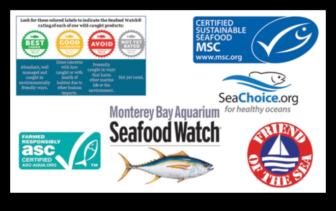 Sustainable Seafood Continued Certifications and Labels to Look For 1
