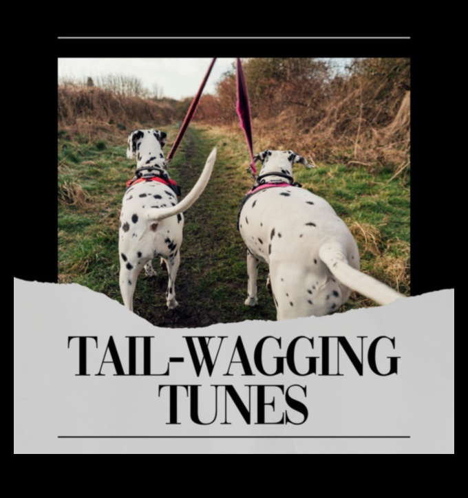 Tail-Wagging Tunes Creating a Playlist for Your Dog 1
