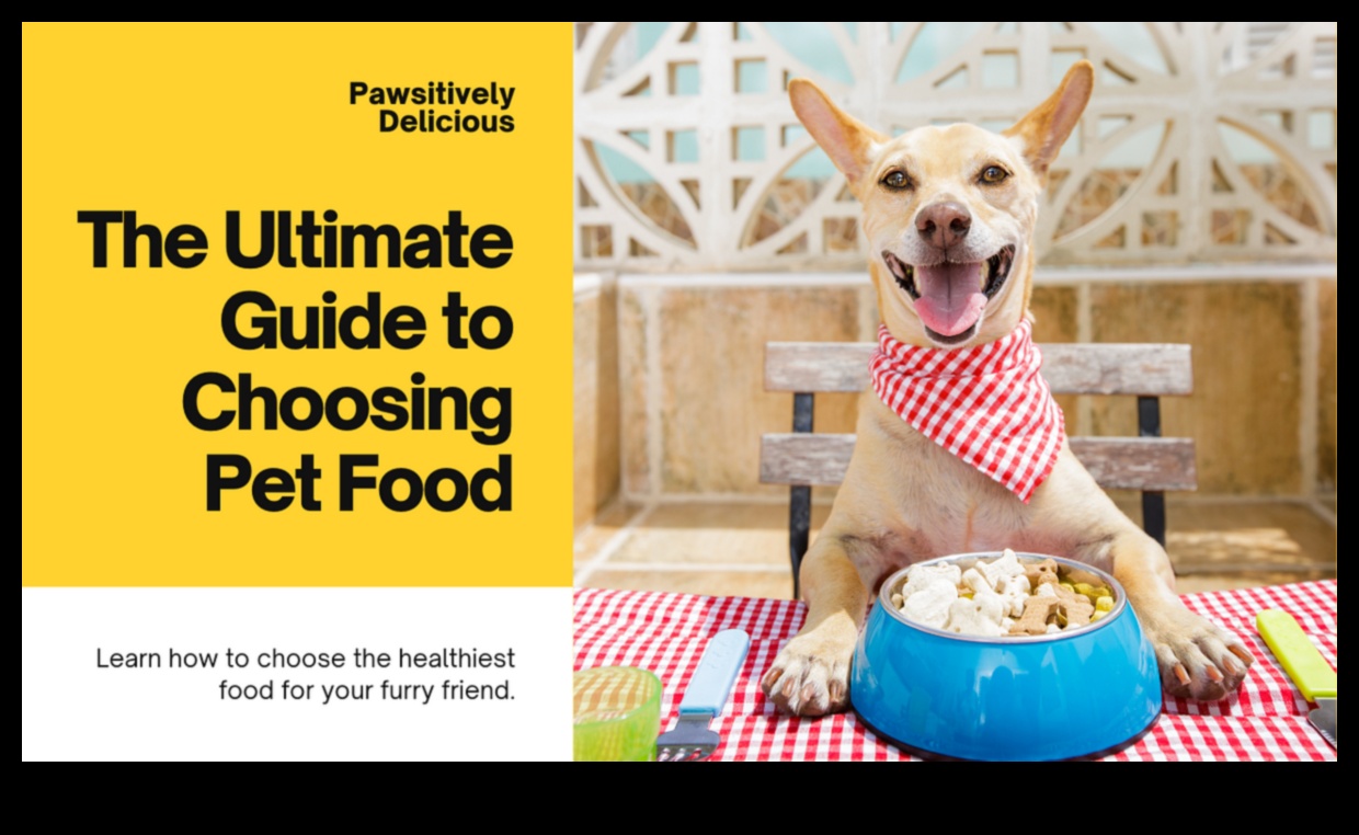 Tailored Tastes: Choosing the Right Food for Your Pet's Needs