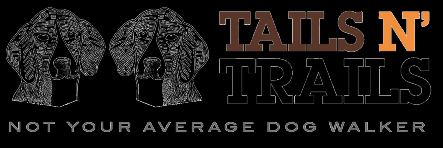 Tails and Trails: Outdoor Adventures for Dogs