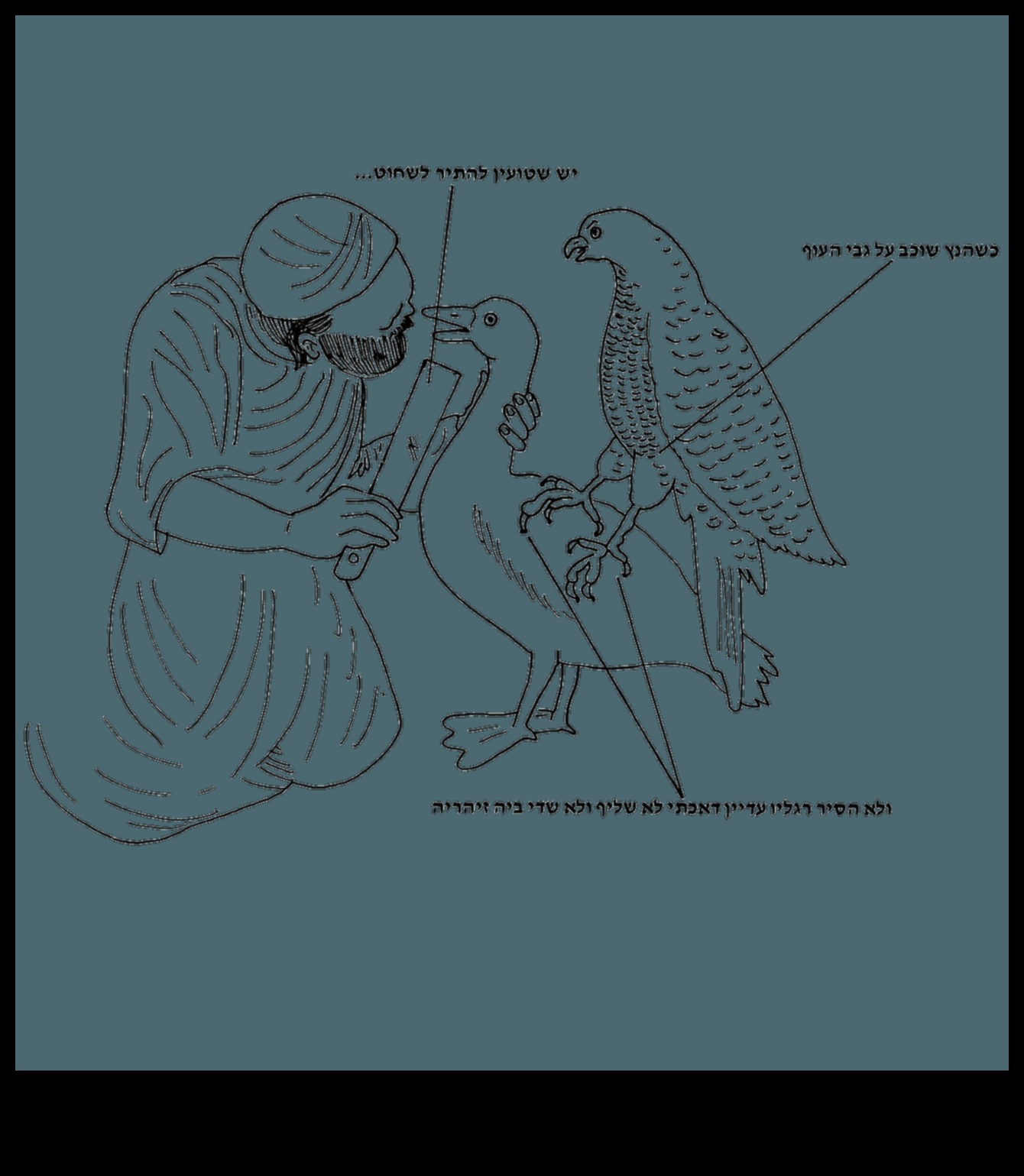 Talon Talk: Understanding Birds of Prey and Their Hunting Techniques